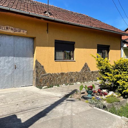 Balla House Bed and Breakfast Tărcaia Exteriör bild