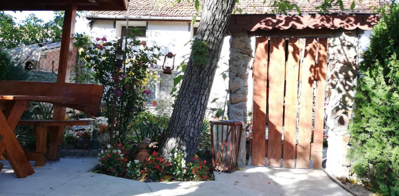 Balla House Bed and Breakfast Tărcaia Exteriör bild