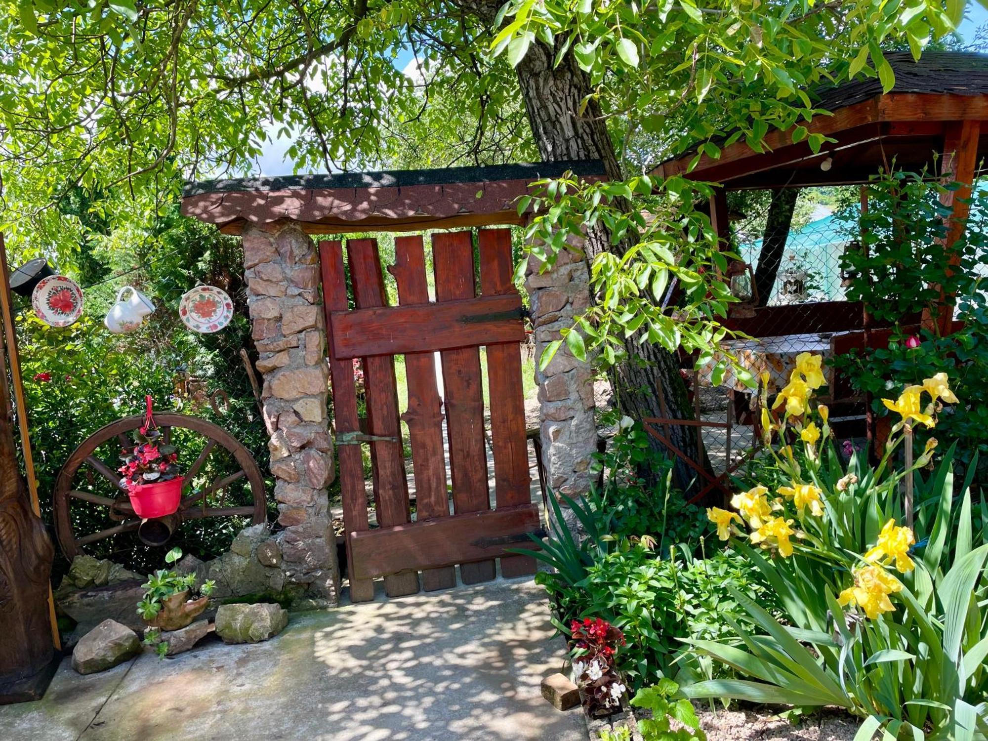 Balla House Bed and Breakfast Tărcaia Exteriör bild