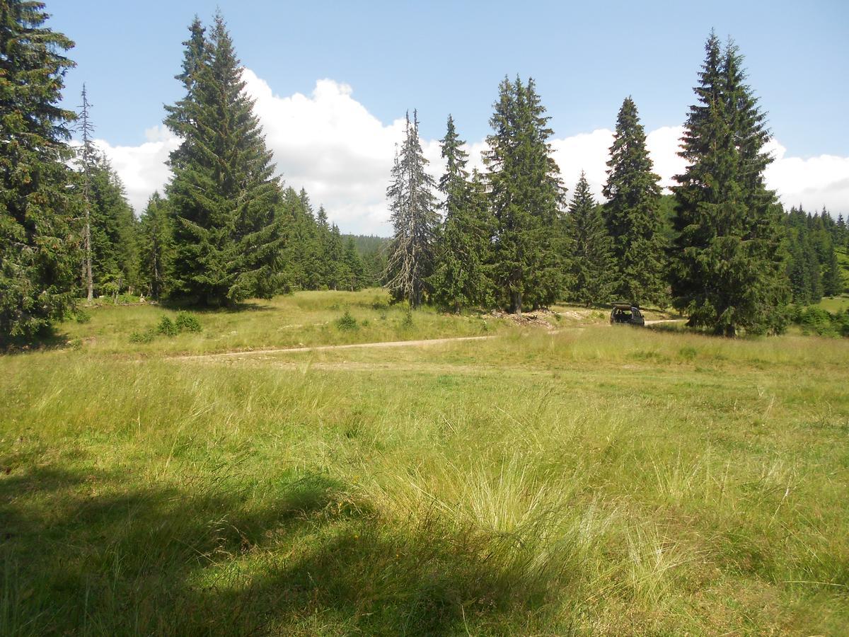 Balla House Bed and Breakfast Tărcaia Rum bild